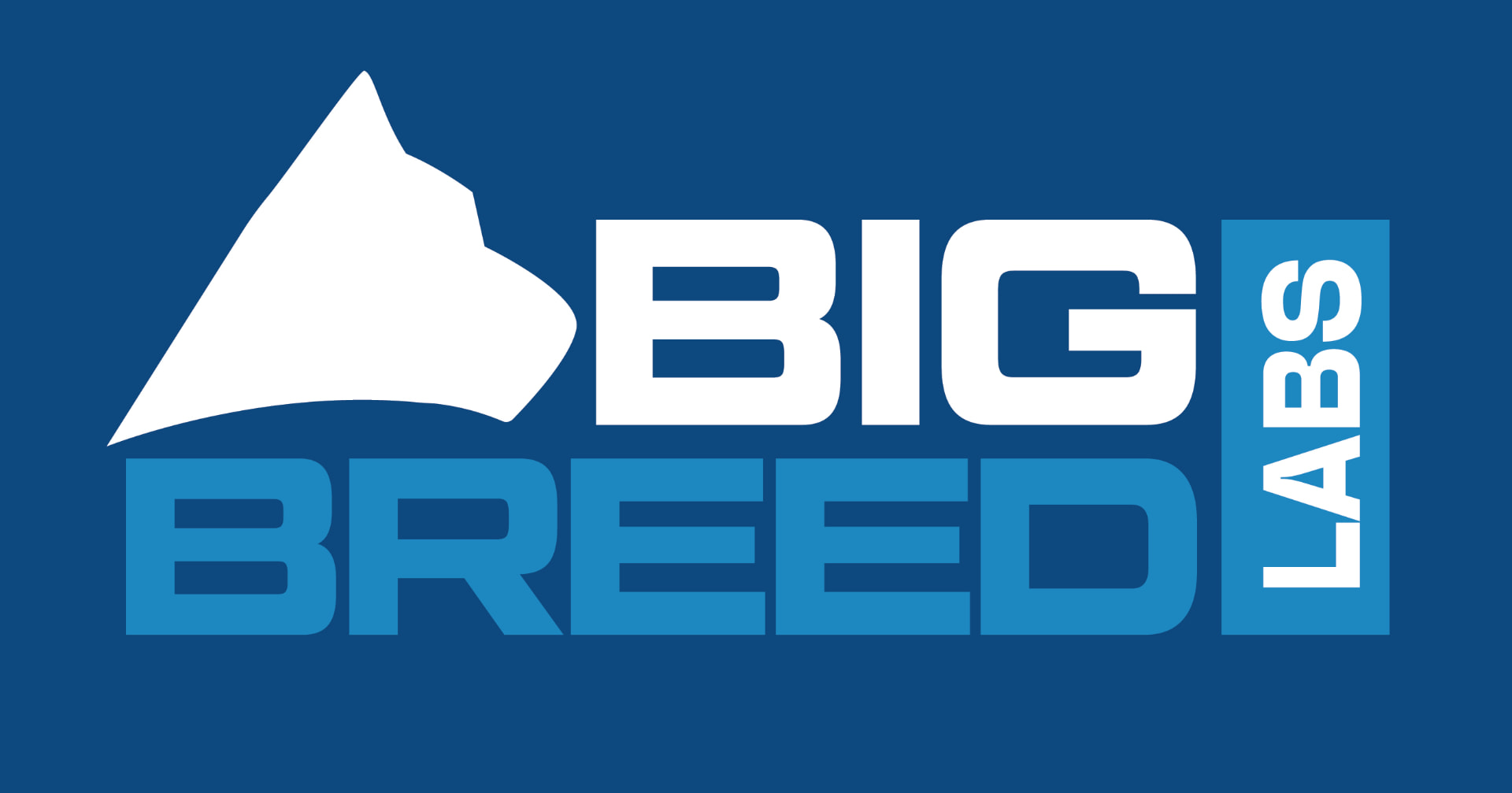 BigBreedLabs